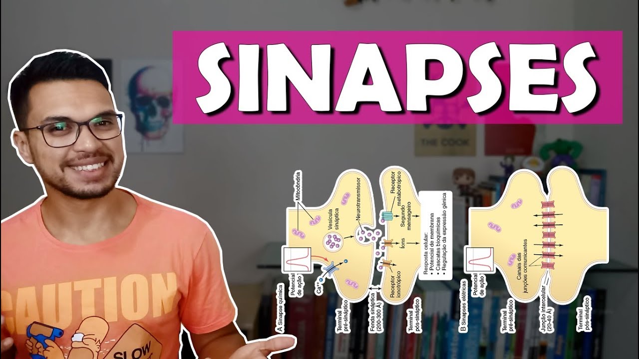 SINAPSES QUÍMICAS x ELÉTRICAS [Neuro 02]