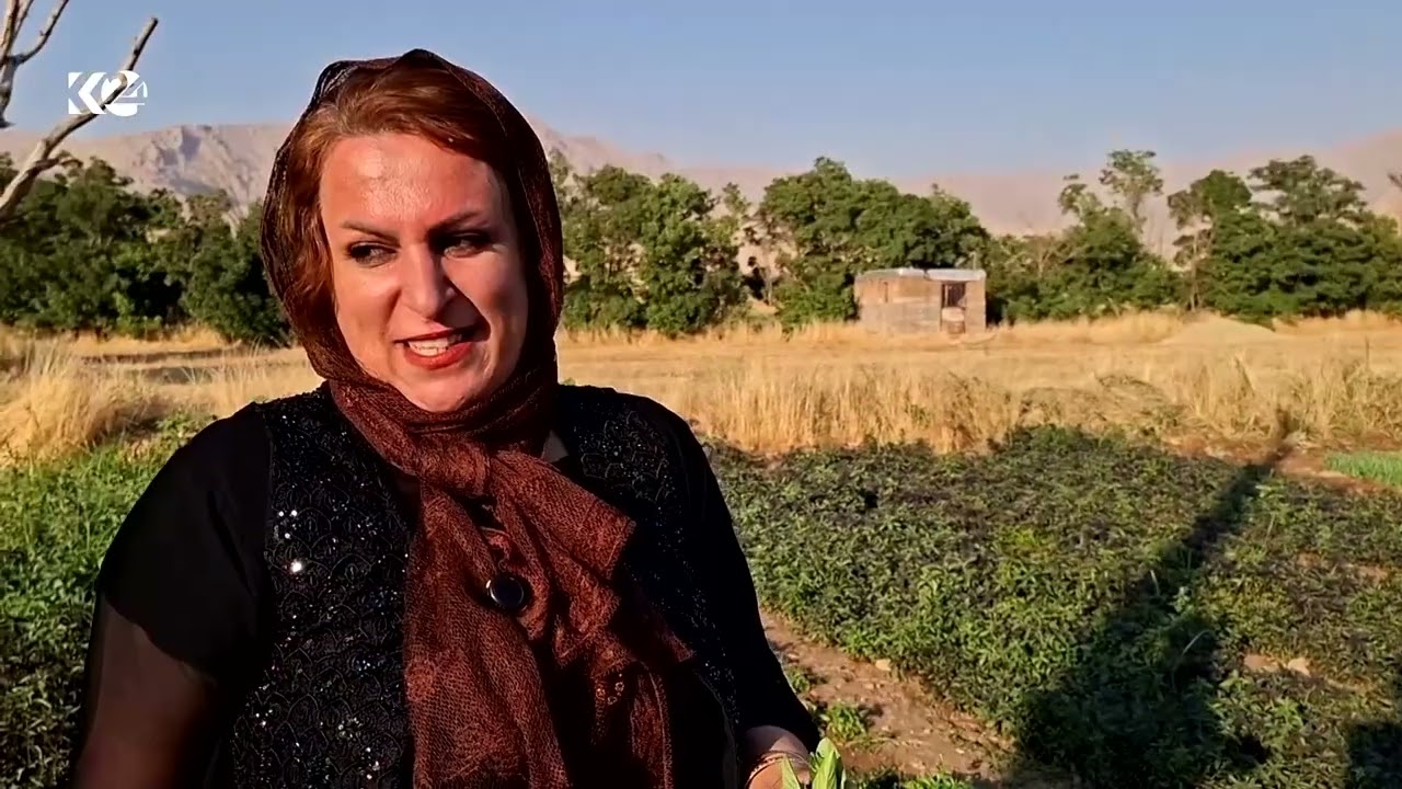 ڤیدیۆ | سەوزەی کێڵگە و بیستانەکانی روانسەر خواستێکی زۆری لەسەرە