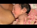 Attaching Your Baby At The Breast Vietnamese Breastfeeding Series