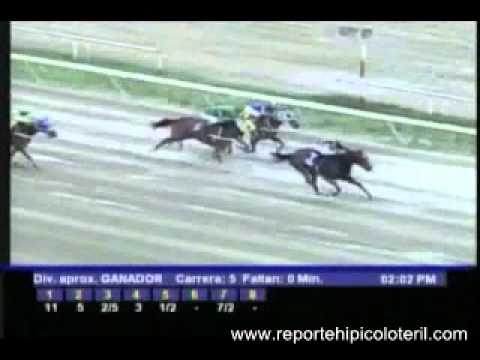 Resumen Domingo 20 de Noviembre de 2011 - La Rinconada