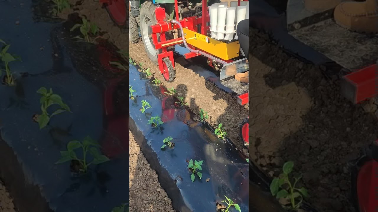 2c0ee20560b24f3d3f2f36958901dd34