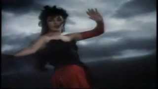 Kate Bush  Moments of Pleasure (Official  Music Video 1993)
