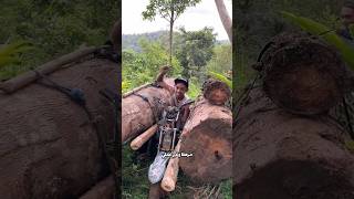 عندما تتفوق المهارة على التحدي!