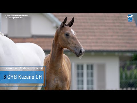 06 Kazan Z x Cartani