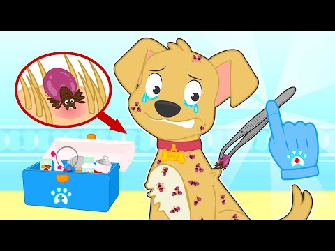 BABY PETS 🐶🪳 Como curar um cão com carrapatos
