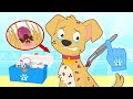 BABY PETS Como Curar Um Cão Com Carrapatos