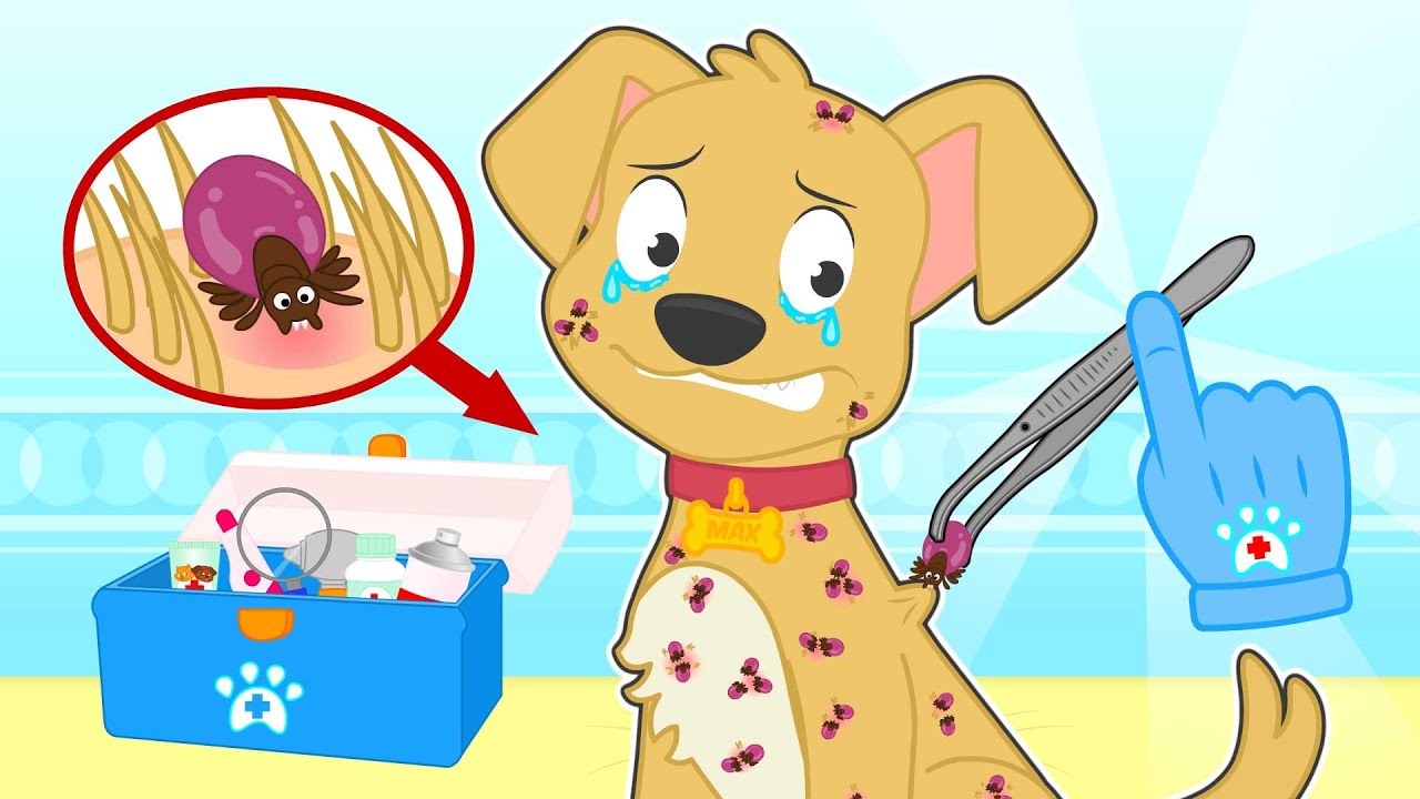 BABY PETS 🐶🪳 Como curar um cão com carrapatos