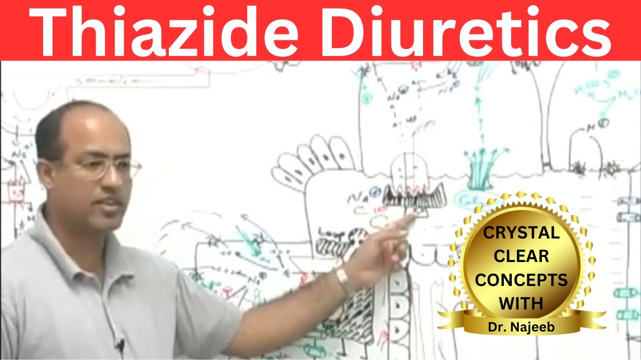 Thiazide Diuretics | Mechanism Of Action | Pharmacology💊 - YouTube