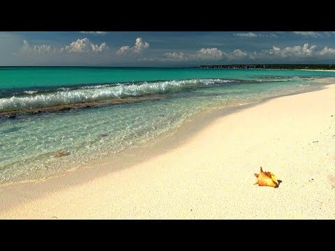 Relaxing Music with Gentle Ocean Sounds, Soothing Waves and Peaceful Music