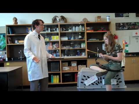 RAMPANT by Diana Peterfreund teaser video