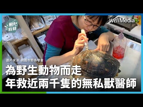 為野生動物而走，年救超過五千隻！野生動物獸醫師：最怕動物太相信人類【動心時刻】獸醫師 吳珈瑩