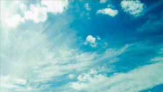 For Blue Skies by Strays Don´t Sleep (lyrics)
