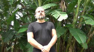 I Saw Jesus Christ Christ Face to Face Awake When He opened Heaven  - Acts 1:11