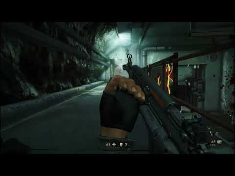 Wolfenstein: The New Order, Steam Game