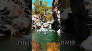 יהודי צריך להיות בוס! (הרב דוד פריוף) - התמונה מוצגת ישירות מתוך אתר האינטרנט יוטיוב. זכויות היוצרים בתמונה שייכות ליוצרה. קישור קרדיט למקור התוכן נמצא בתוך דף הסרטון יהודי צריך להיות בוס! (הרב דוד פריוף) - התמונה מוצגת ישירות מתוך אתר האינטרנט יוטיוב. זכויות היוצרים בתמונה שייכות ליוצרה. קישור קרדיט למקור התוכן נמצא בתוך דף הסרטון