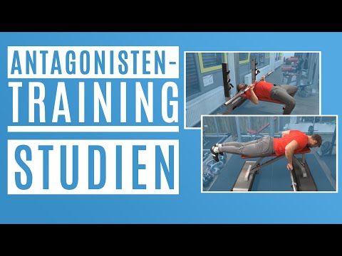 Antagonistentraining – ist ein antagonistisches Training besser? – Studien