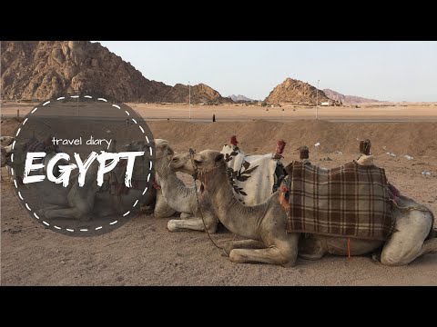 EGYPT: SHARM EL SHEIKH (Ghazala Gardens) | Travel video