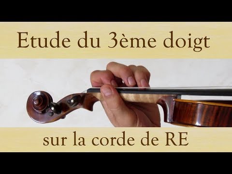 Volume 1 cours 033 / 133 - doigt 3 corde RE - Apprendre le Violon avec olivier Lesseur