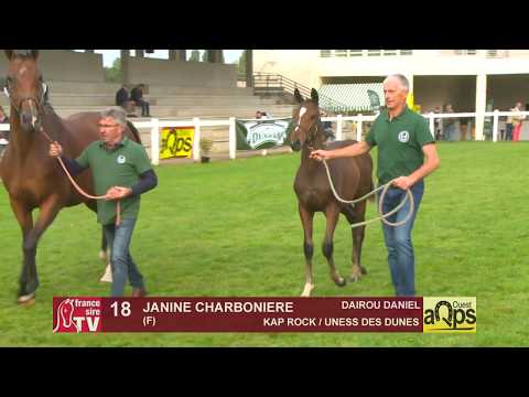 Show Aqps Ouest 2019 : Lot 18 - JANINE CHARBONIERE