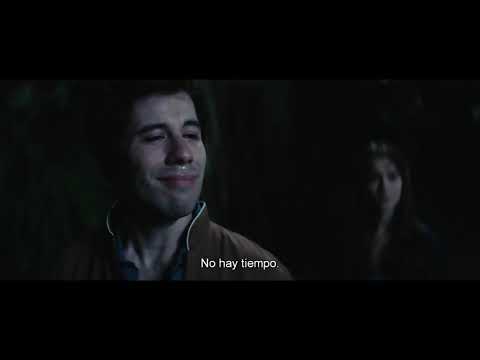 Le Fils de l'accordéoniste - Bande Annonce VO