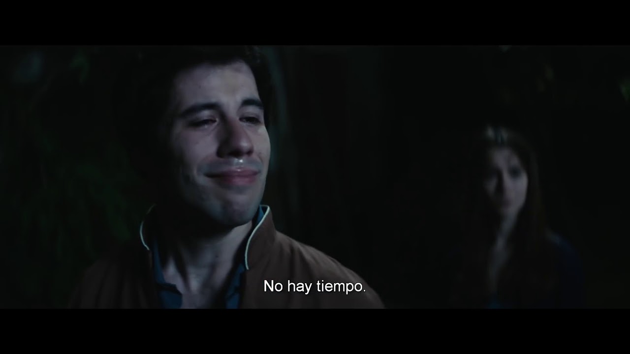 Miniature de la vidéo Le Fils de l'accordéoniste - Bande Annonce VO du film Le Fils de l’accordéoniste