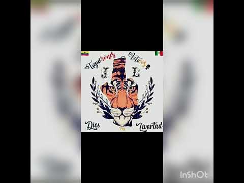 Dizzi Diablo y Lala 06🐯👹