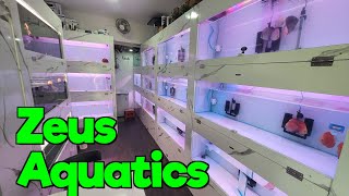 Discount offer on Fish Food I New Fish Stock at Zeus Aquatics 
