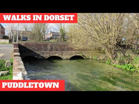 WALKS IN DORSET at PUDDLETOWN & ILSINGTON (4K)