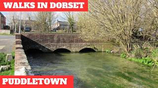 WALKS IN DORSET at PUDDLETOWN & ILSINGTON (4K)