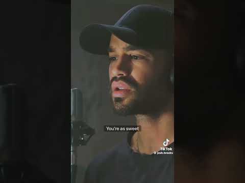 Josh Breaks - Tennessee Whisky