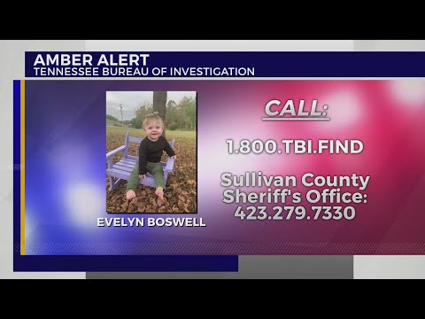 沙利文縣警長找到Evelyn Boswell是首要任務 (Sullivan County Sheriff: Finding Evelyn Boswell is top priority)