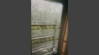 I Found My Remedy. (Sped-Up)