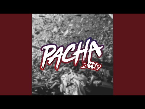 Pacha 2019