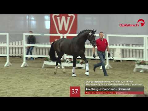 37 Hengst v. Goldberg - Florencio - Fidermark