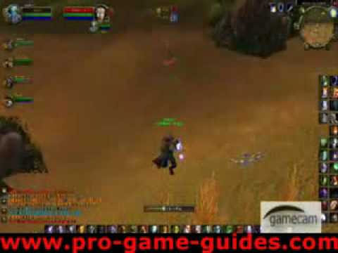 49 elemental shaman twink pvp