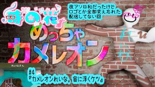 【めっちゃカメレオン】夜アソ日和だったけど全部変え忘れたカメレオン #4【かくれんぼ】