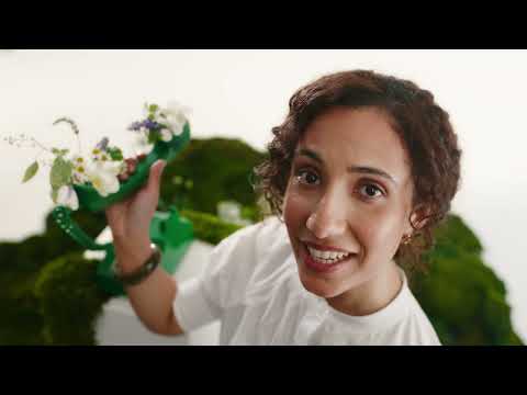 Saje Natural Wellness | "Origins" | Pocket Farmacy®