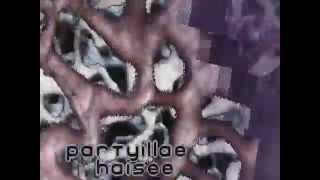 Haujobb - Yawn Remix (1997) [60fps]