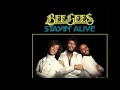 Bee%20Gees%20-%20Stayin%20Alive%2078