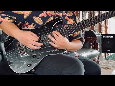 mirar - hestehov riffs guitar cover (thall)