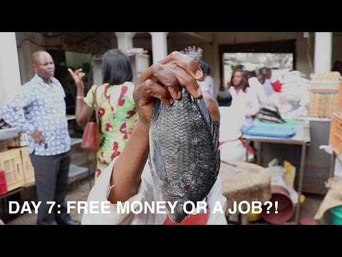 7日目：タダ金か仕事か！？ (Day 7: Free Money or a Job?!)