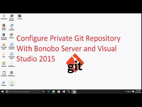 How to configure Private Git Repository With Bonobo Server and Visual studio