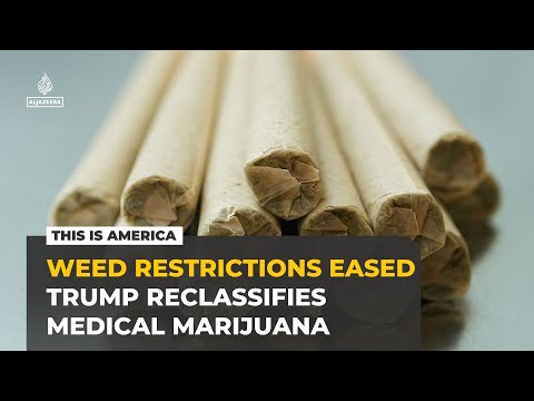 Weed restrictions eased as Trump reclassifies medical marijuana | This is America