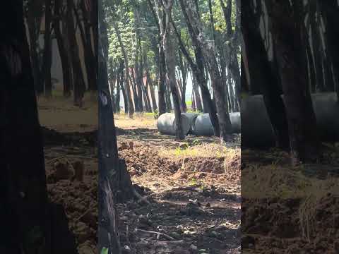 Tel:4706-3369 Residencial Entre Rios Cuyotenango Suchitepequez Guate. Reserve su lote Q1,000 y DPI