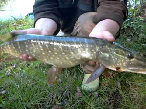 Matze fängt schönen Hecht