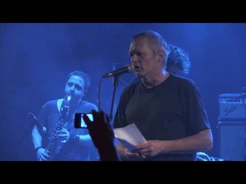 OISEAUX-TEMPÊTE - The Strangest Creature On Earth - Live @ Badaboum - 2016