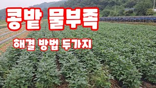 콩밭 물부족 해결 방법 두가지 상세 메주콩 양수기 비닐호스. (콩재배방법)