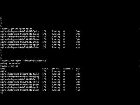 Kubectl Basic Commands