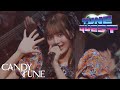 【LIVE映像】CANDY TUNE「キス・ミー・パティシエ」＠ at CANDY TUNE JAPAN TOUR 2025 -AUTUMN- TUNE QUEST 追加公演(2025/12/5)