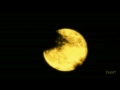 Yellow Moon   Neville Brothers